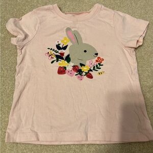Hanna Andersson Light Pink Bunny Floral Kids T-Shirt
